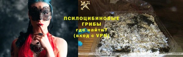 индика Вуктыл