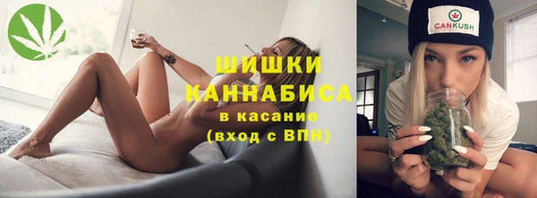 дживик Переславль-Залесский