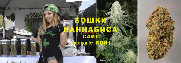 дживик Переславль-Залесский