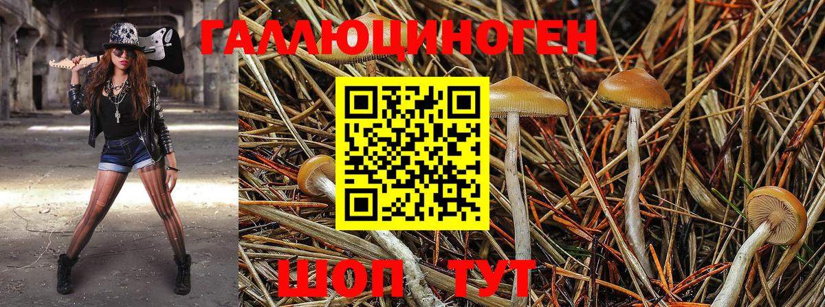 Алушта  Галлюциногенные грибы Psilocybe  Вход с VPN 