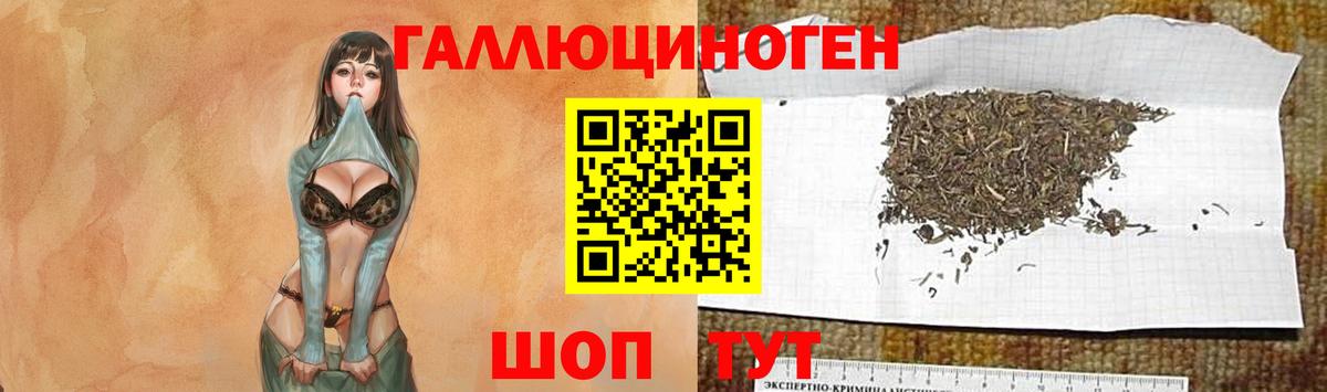 Псилоцибиновые грибы GOLDEN TEACHER Алушта